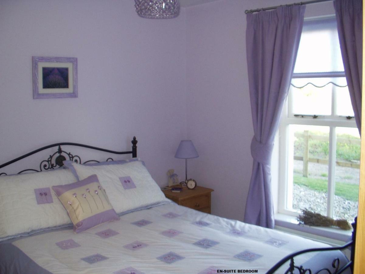 Beech House Villa Portballintrae Exteriör bild